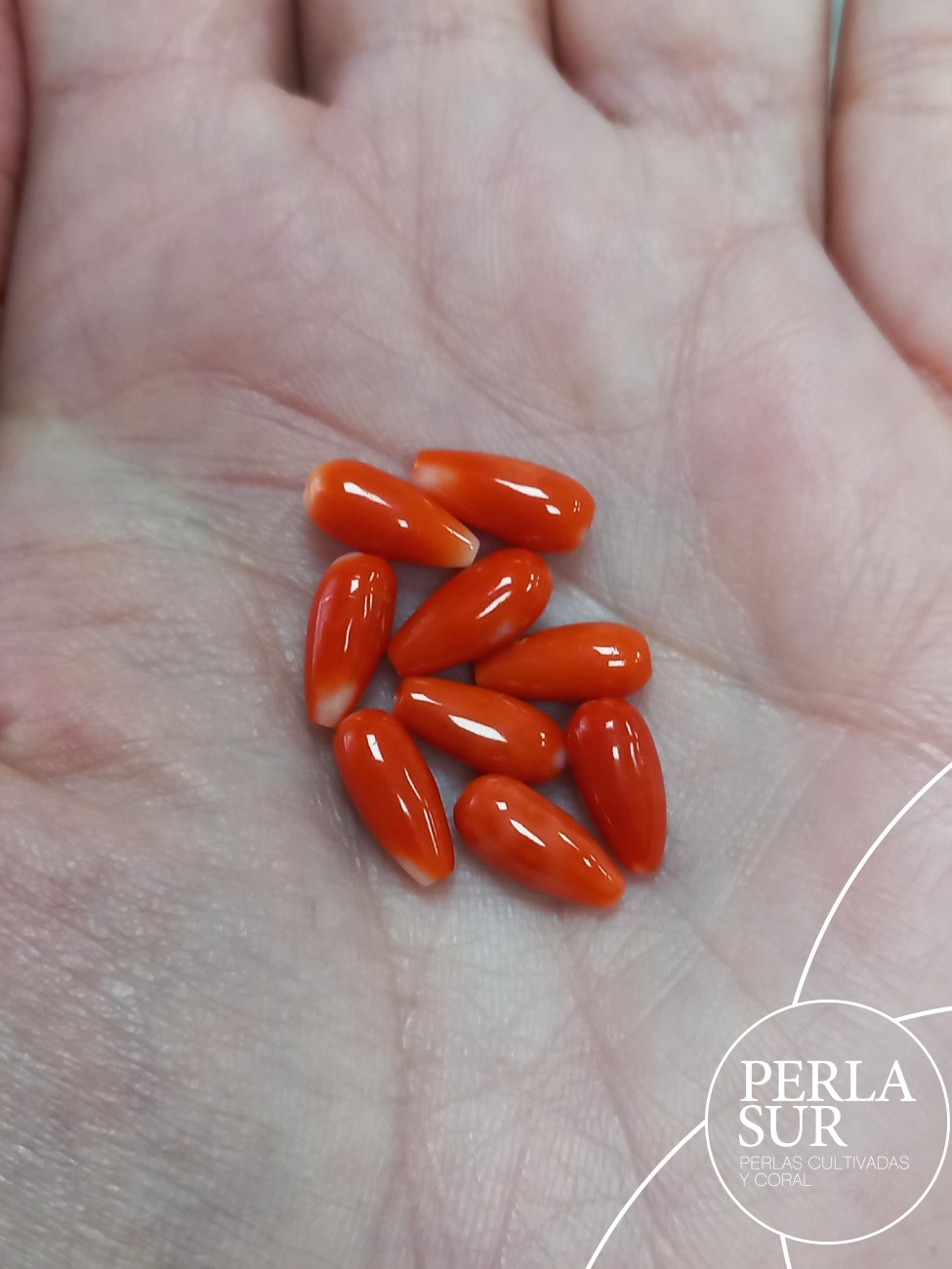 Par Perillas 4'5x10mm PASADAS coral japonés