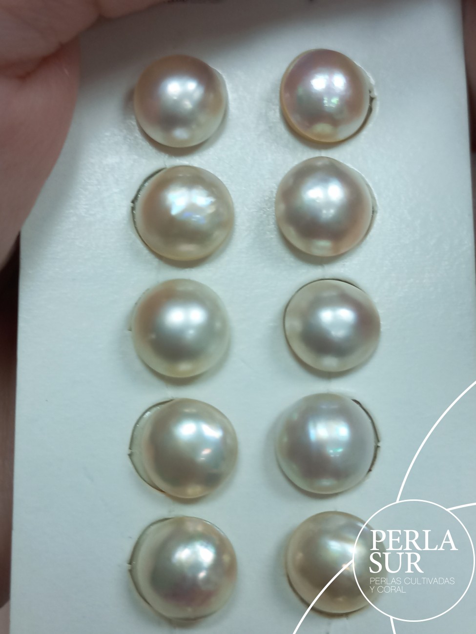 Perla mabe 8'5-9mm Barrocas Clásicas