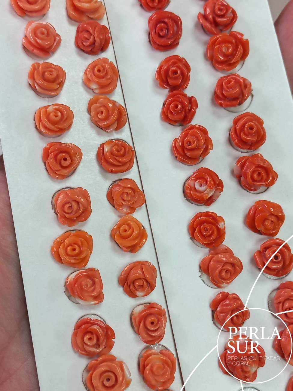 Pareja Rosa 10 a 11mm 1/2 T. Coral Japonés