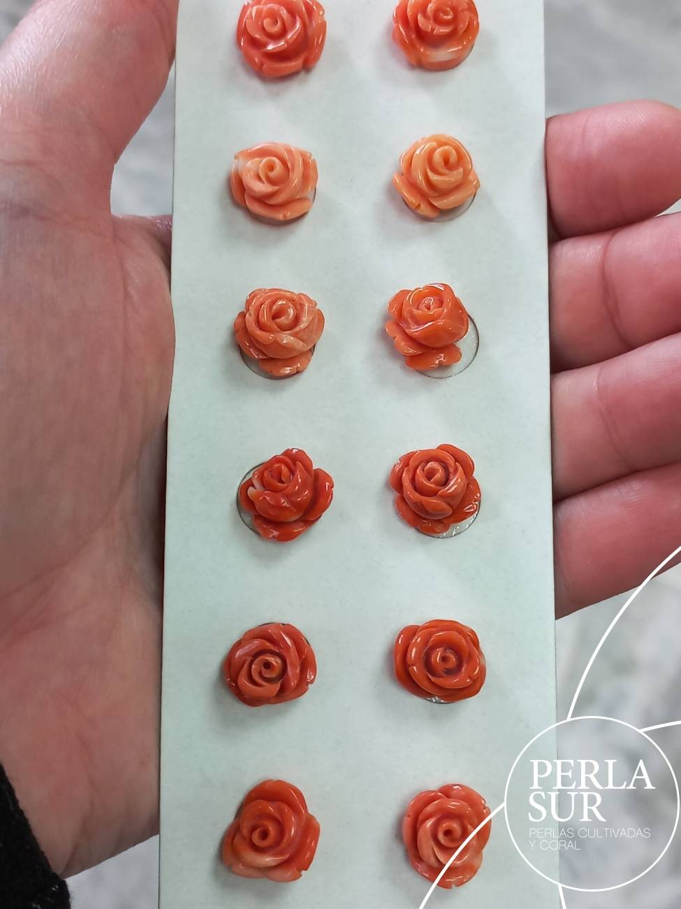 Pareja Rosa 11 a 12mm 1/2T. Coral Japonés