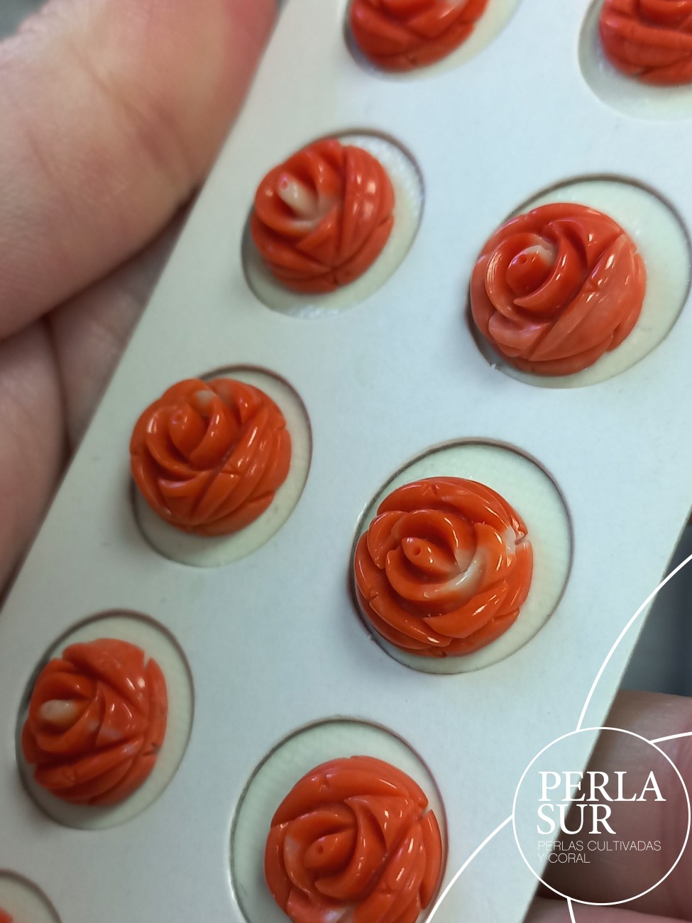 Pareja Rosa 13-14mm Plana Redonda Coral Japonés