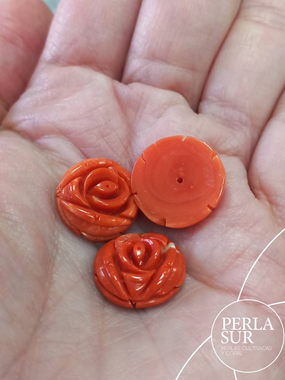 Rosa 15-16-17mm Plana Redonda Coral Japonés