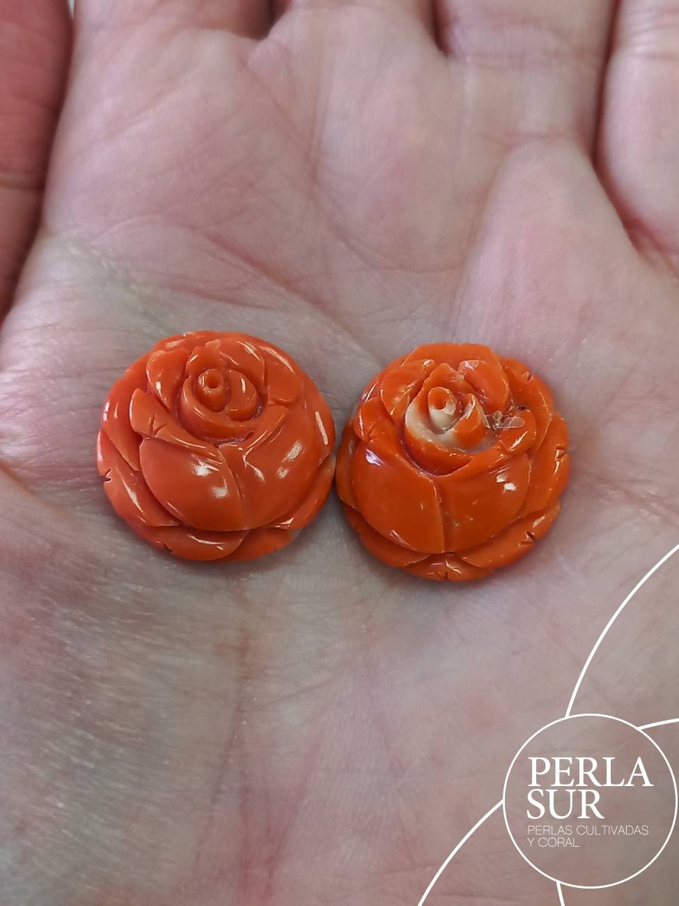 Pareja Rosa 20mm Plana Coral Japonés