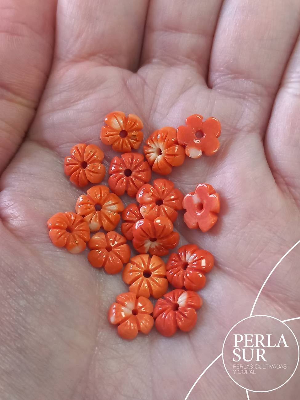 Flor 5 pétalos 7 a 8'5mm Coral Japonés