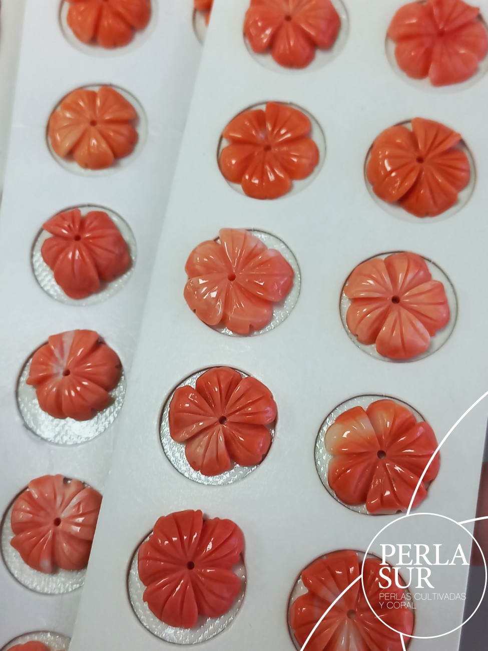 Pareja Flor 5 pétalos 13 a 15mm Coral Japonés