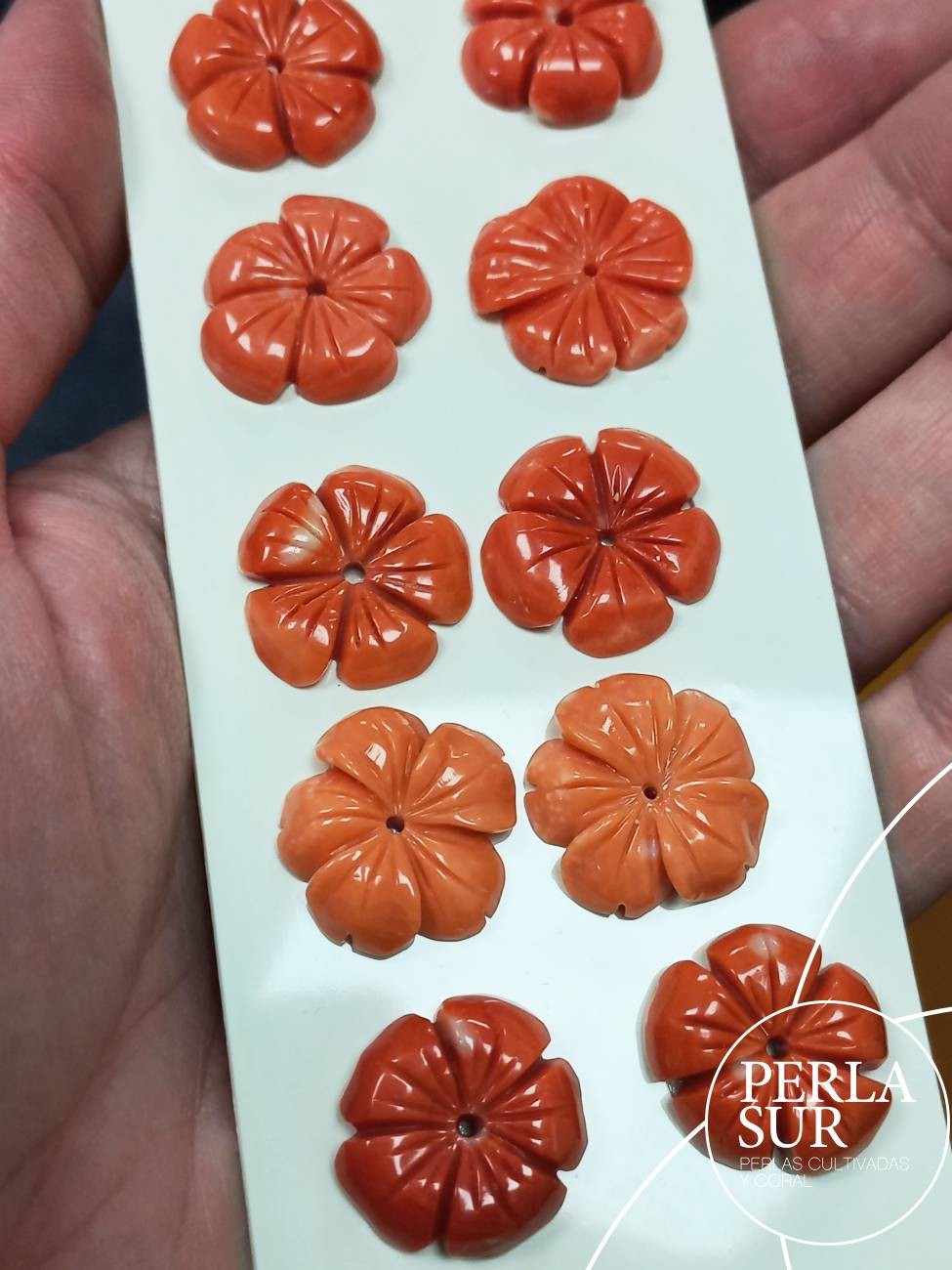 Flor 5 pétalos 16 a 18mm Coral Japonés