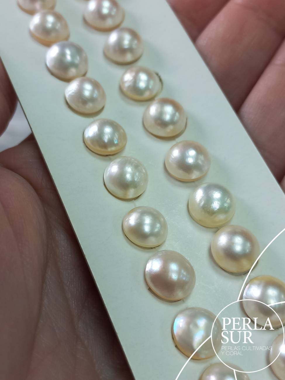 Perla mabe 9-9'5mm Clásicas barrocas