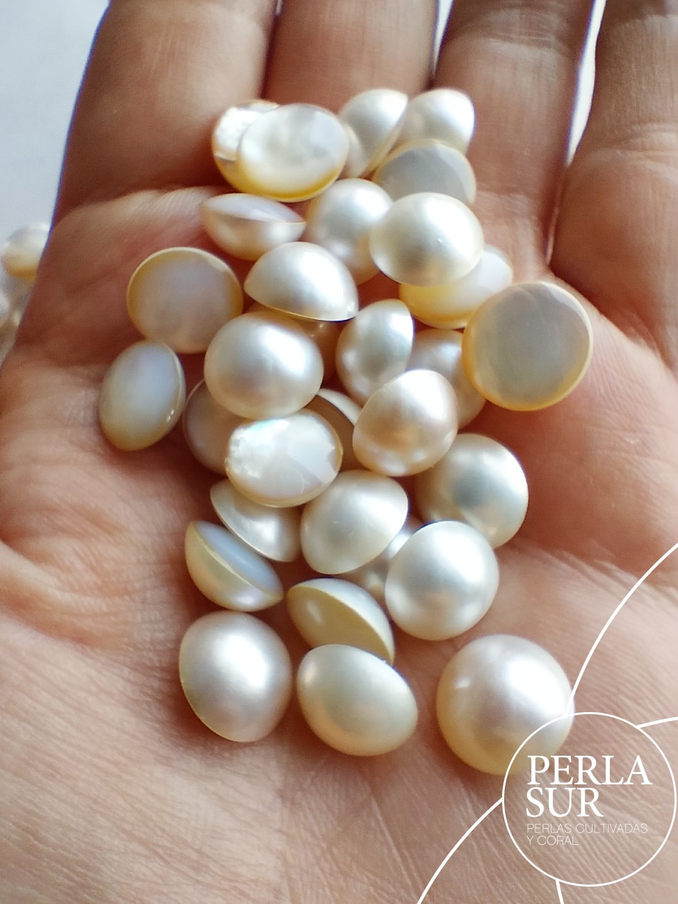 Perla Mabe 10-10'5mm Lisas