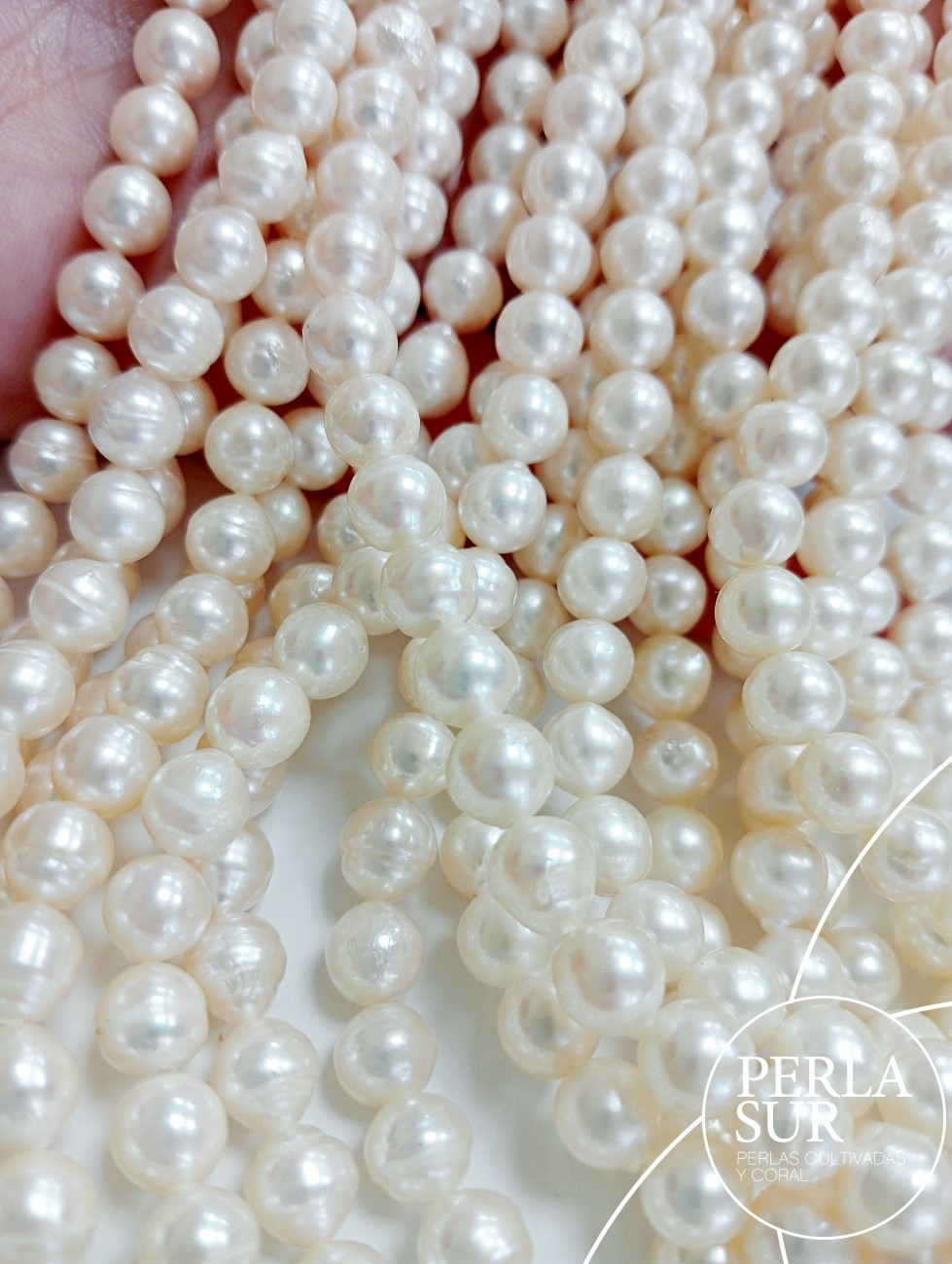 Hilo perla AKOYA 6-6'5mm cinturilla