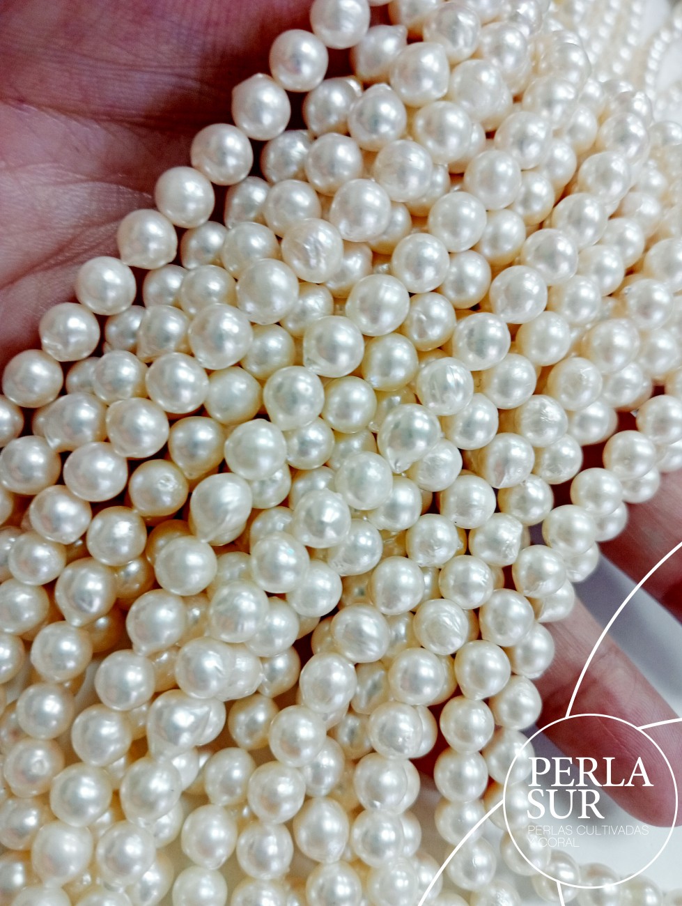 Hilo perla AKOYA 6-6'5mm semibarroco