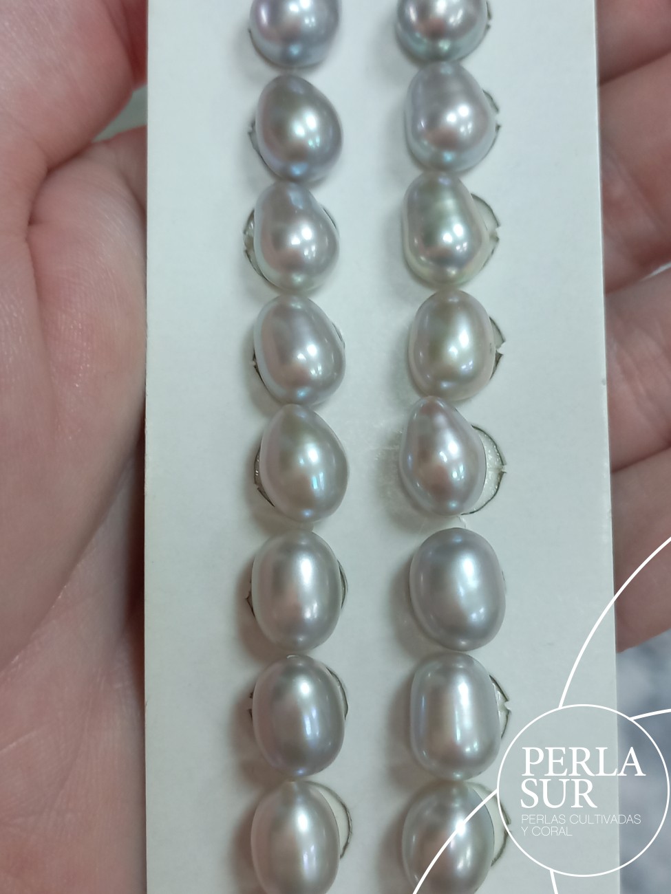 Pareja Perla 8x11'5mm Gris 1/2t Oval