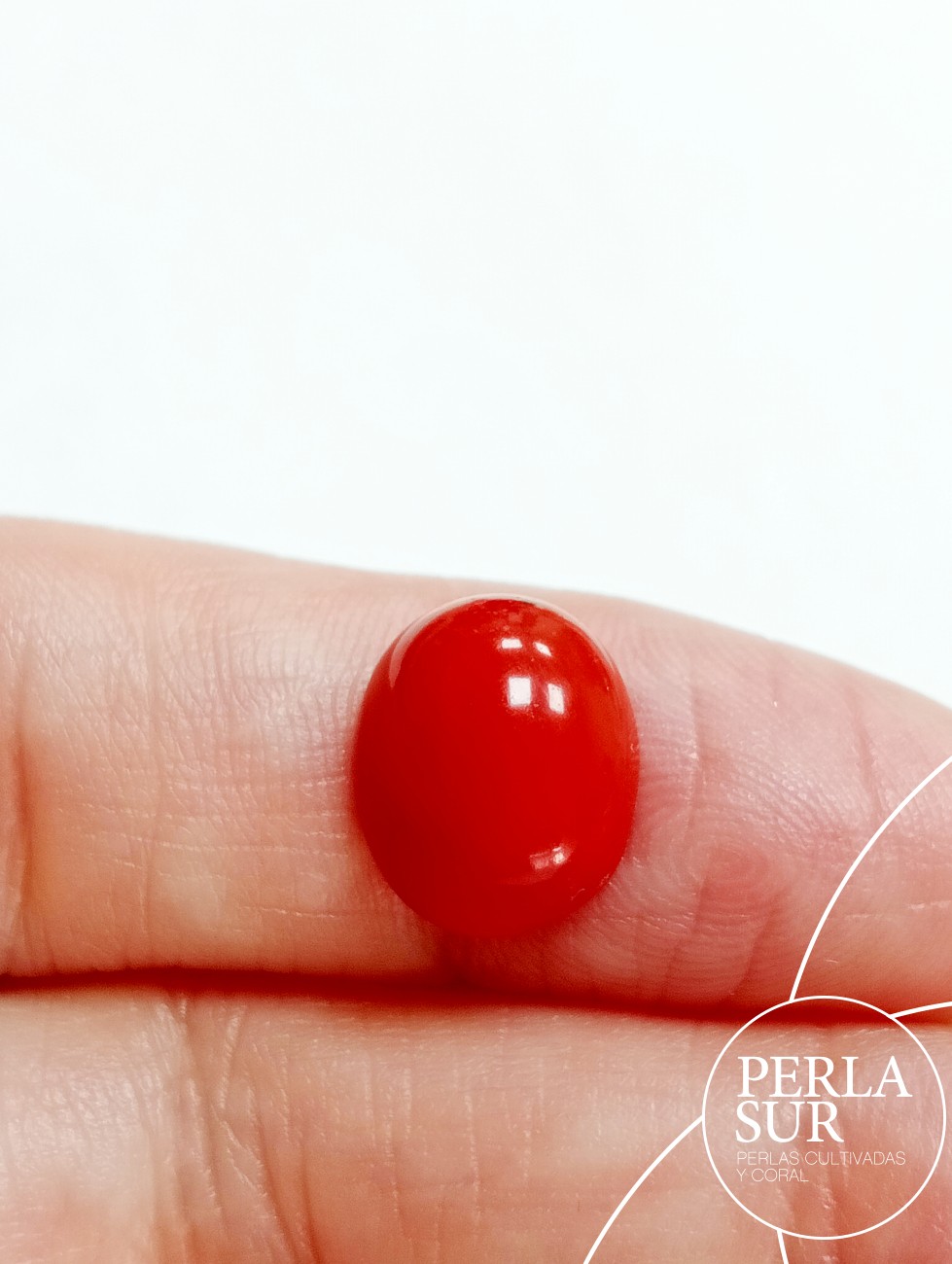 Cabujón 10x12mm oval coral sintético (rojo)