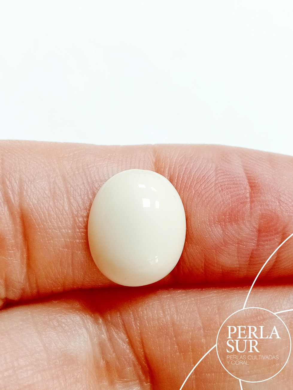 Cabujón 10x12mm oval sintético (marfil)