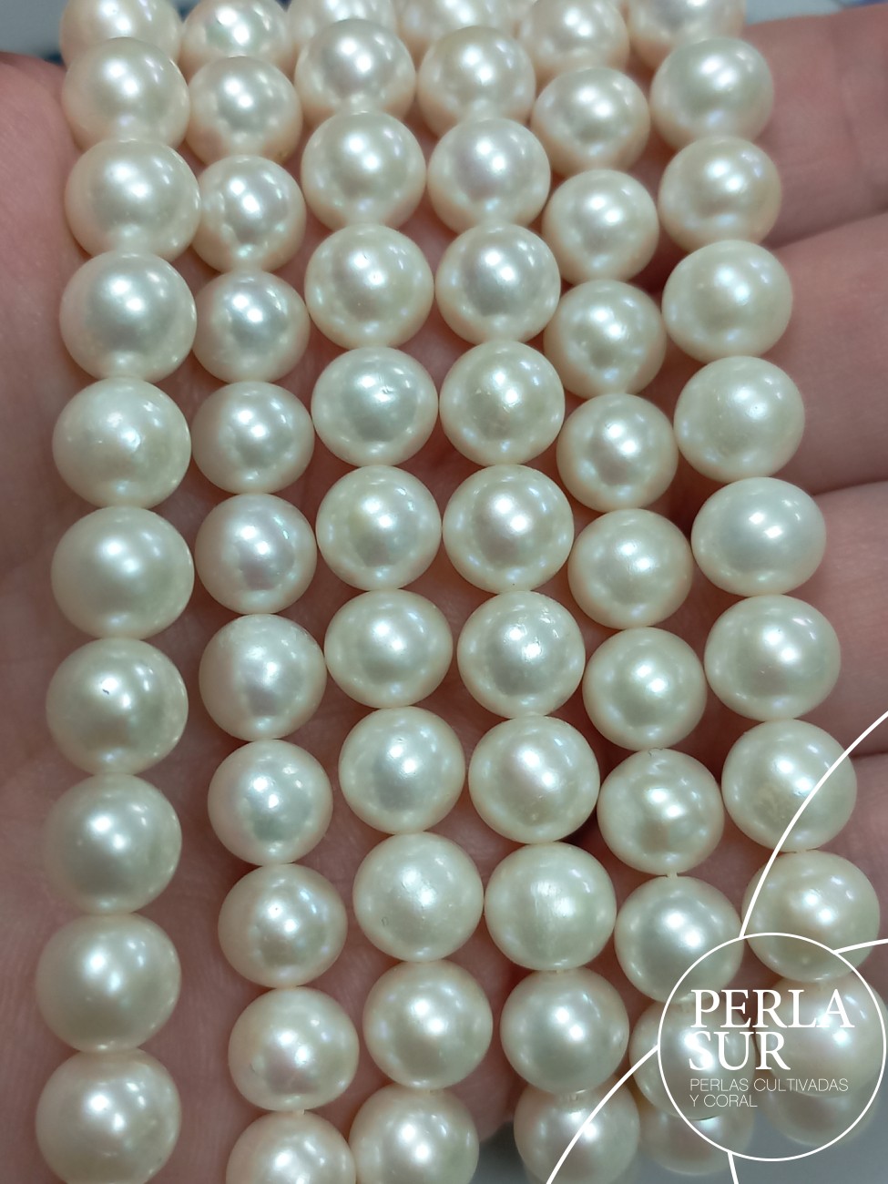 Hilo perla redonda 7'5-8mm blanca