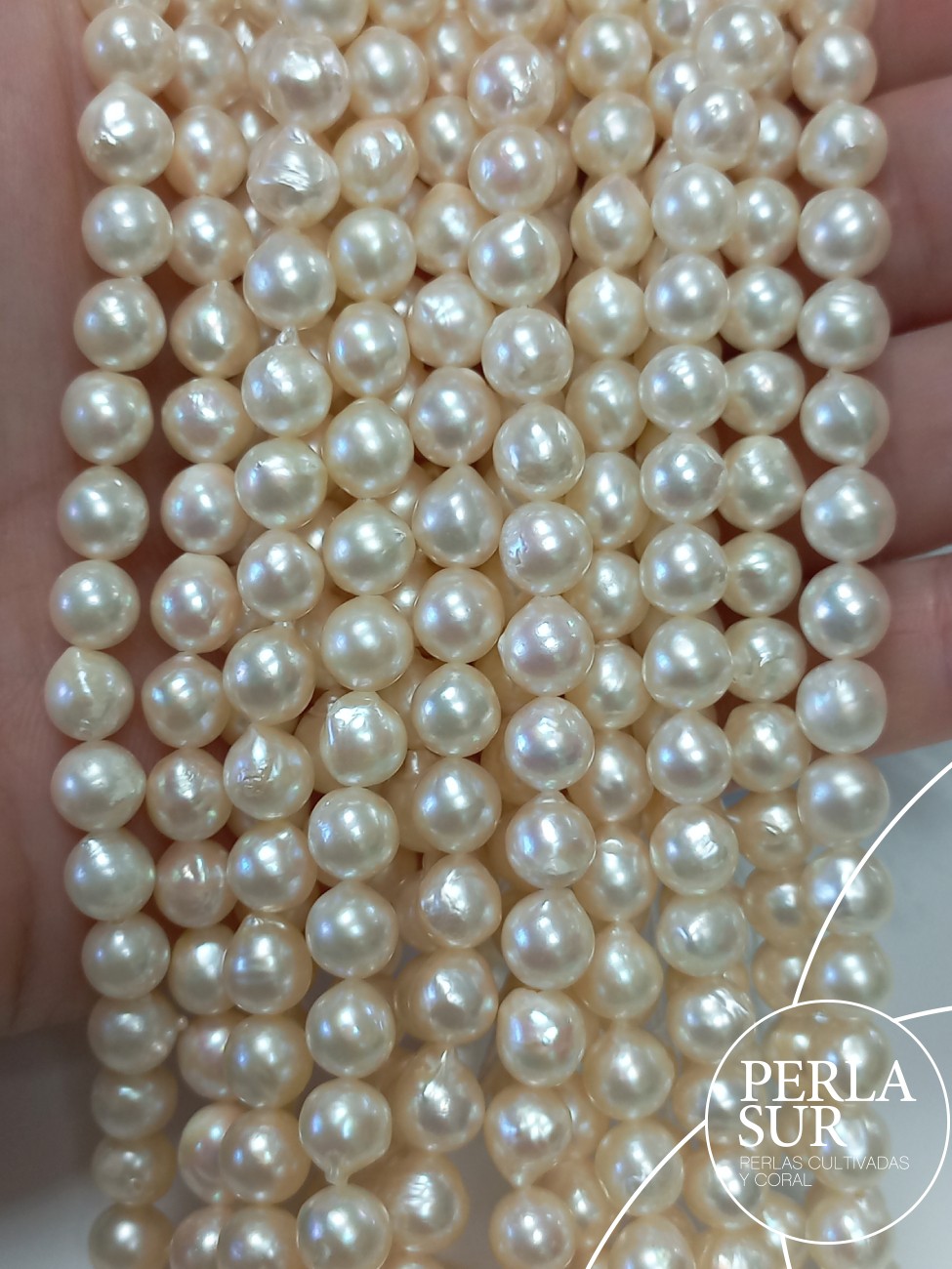 Hilo perla AKOYA 6'5-7mm semibarroco