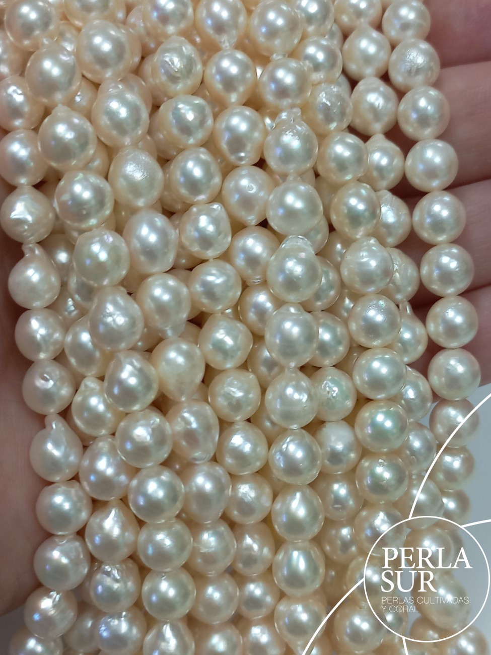 Hilo perla AKOYA 7-7'5mm barroco