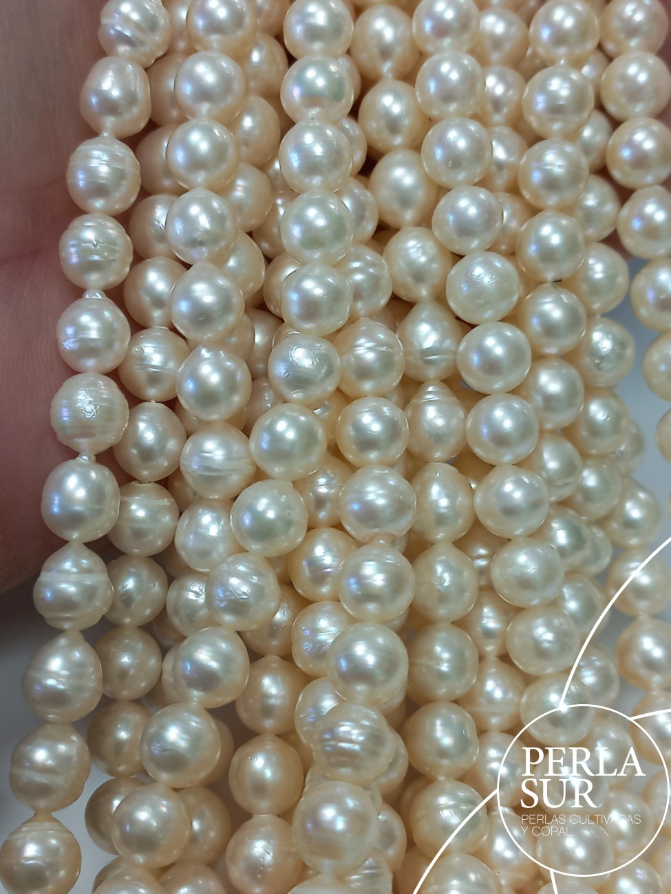 Hilo perla AKOYA 7-7'5mm barroco cinturilla