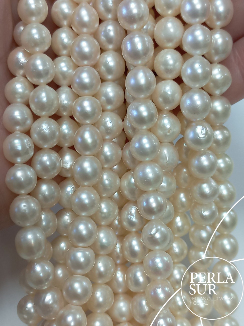 Hilo perla AKOYA 7-7'5mm semibarroco c