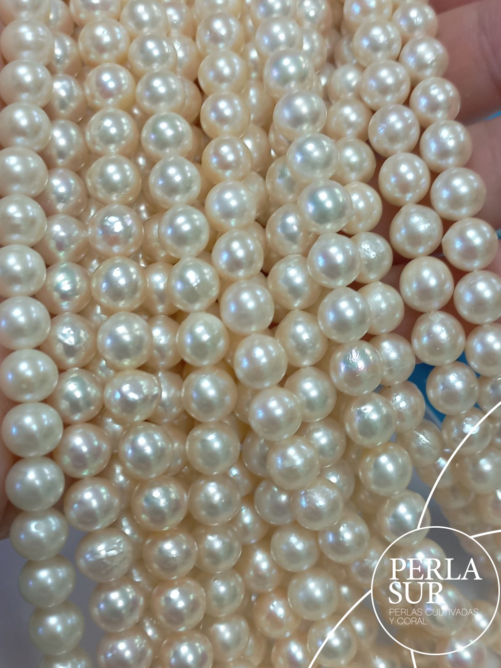 Hilo perla AKOYA 7-7'5mm semibarroco rosa