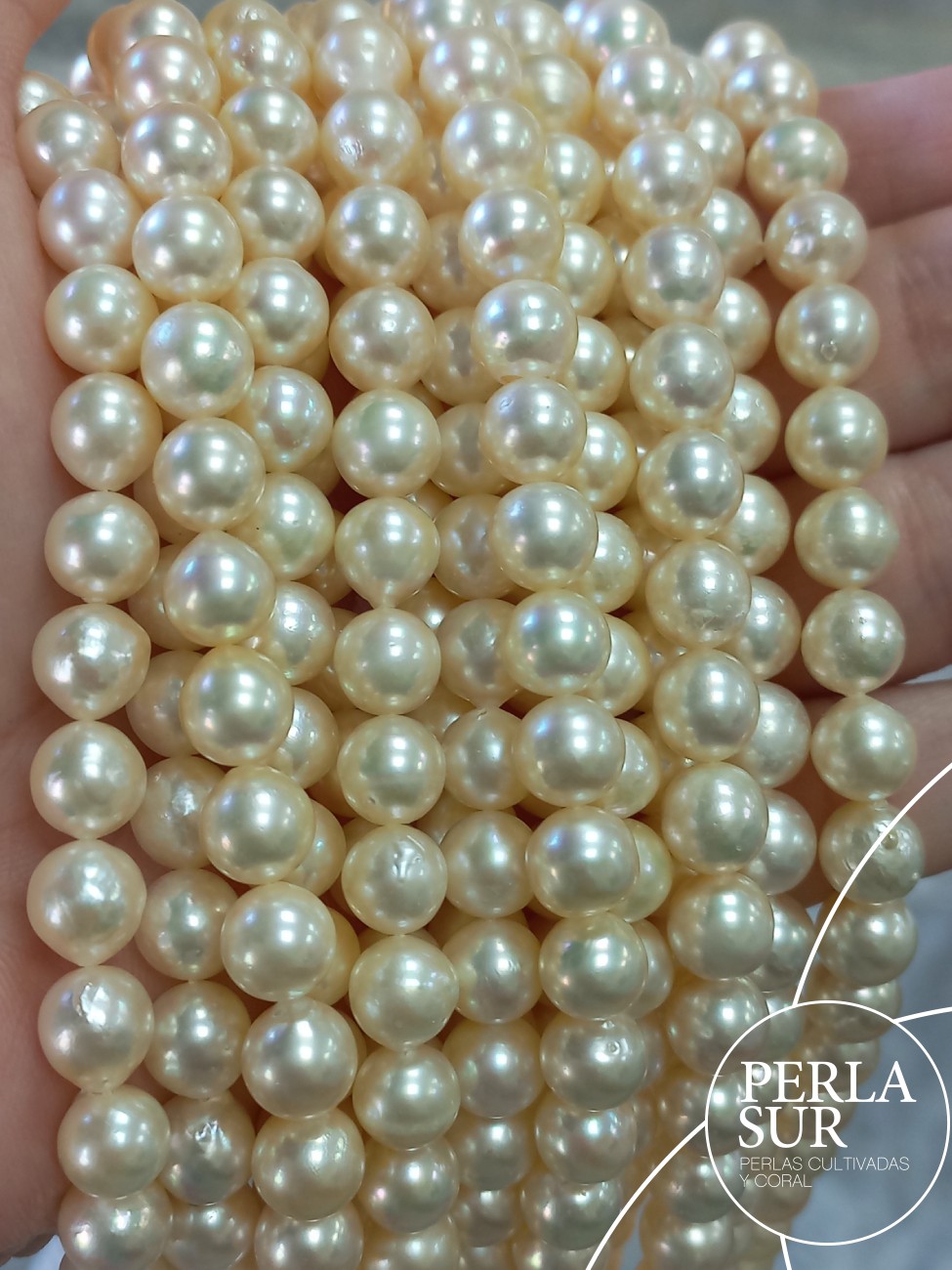 Hilo perla AKOYA 7'5-8mm golden semibarroca