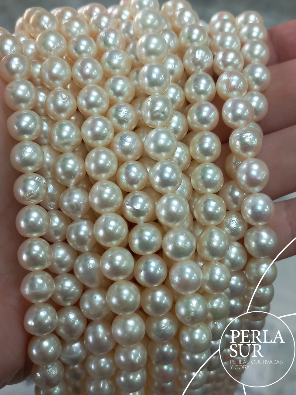 Hilo perla AKOYA 7'5-8mm semibarroca A