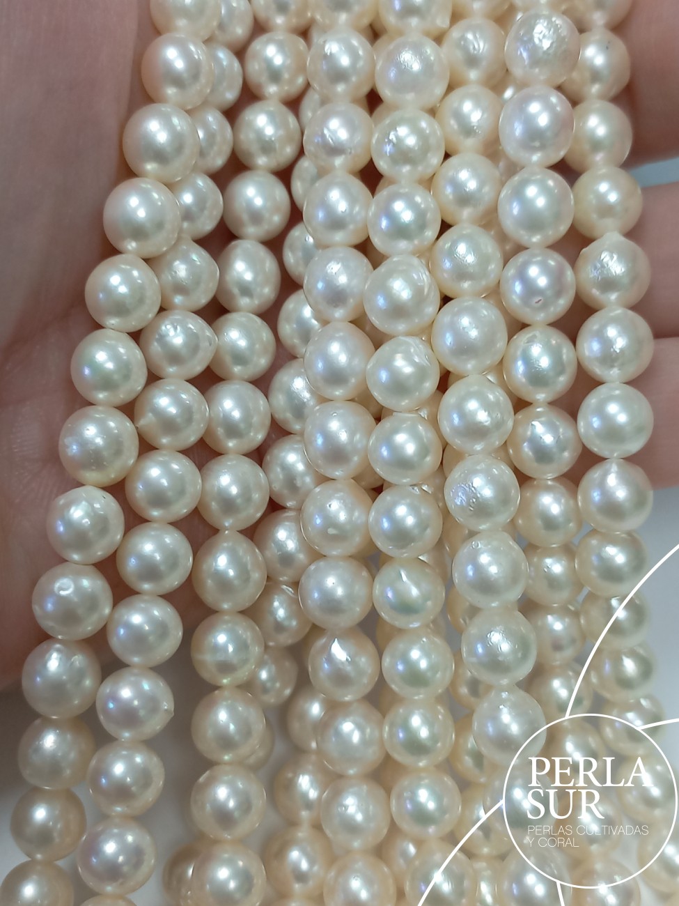 Hilo perla AKOYA 8-8'5mm Semibarroca A