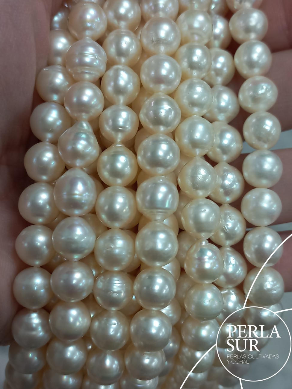 Hilo perla AKOYA 8-8'5mm Barroca cinturilla