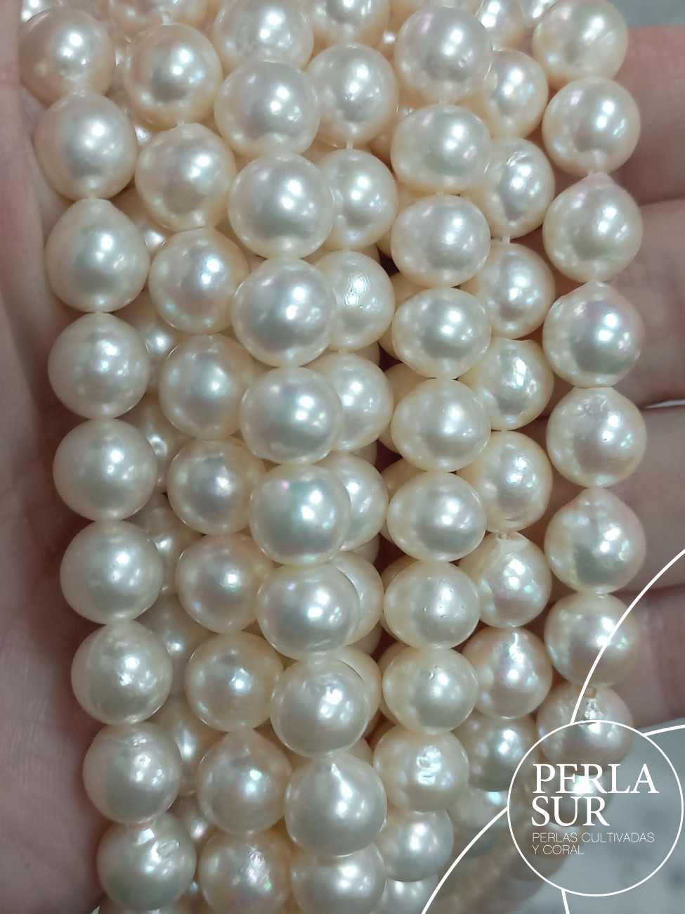 Hilo perla AKOYA 8'5-9mm Semibarroca