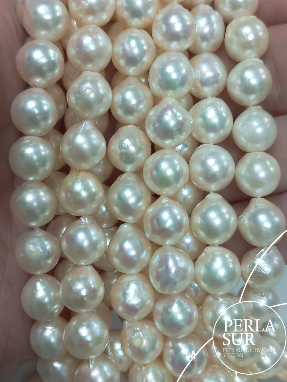Hilo perla AKOYA 8'5-9mm Barroca