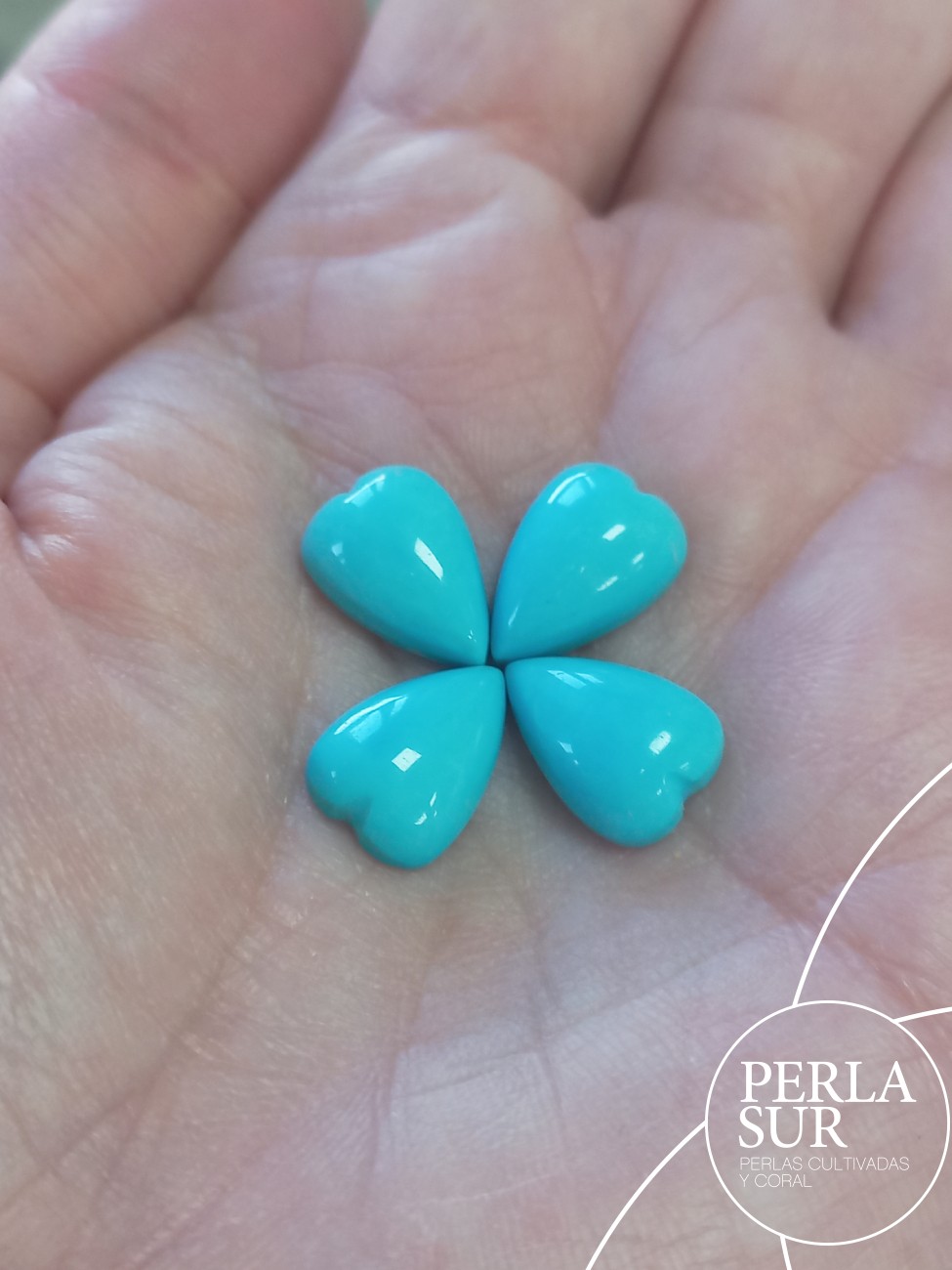 Lote cabujón 13x9mm corazón turquesa natural
