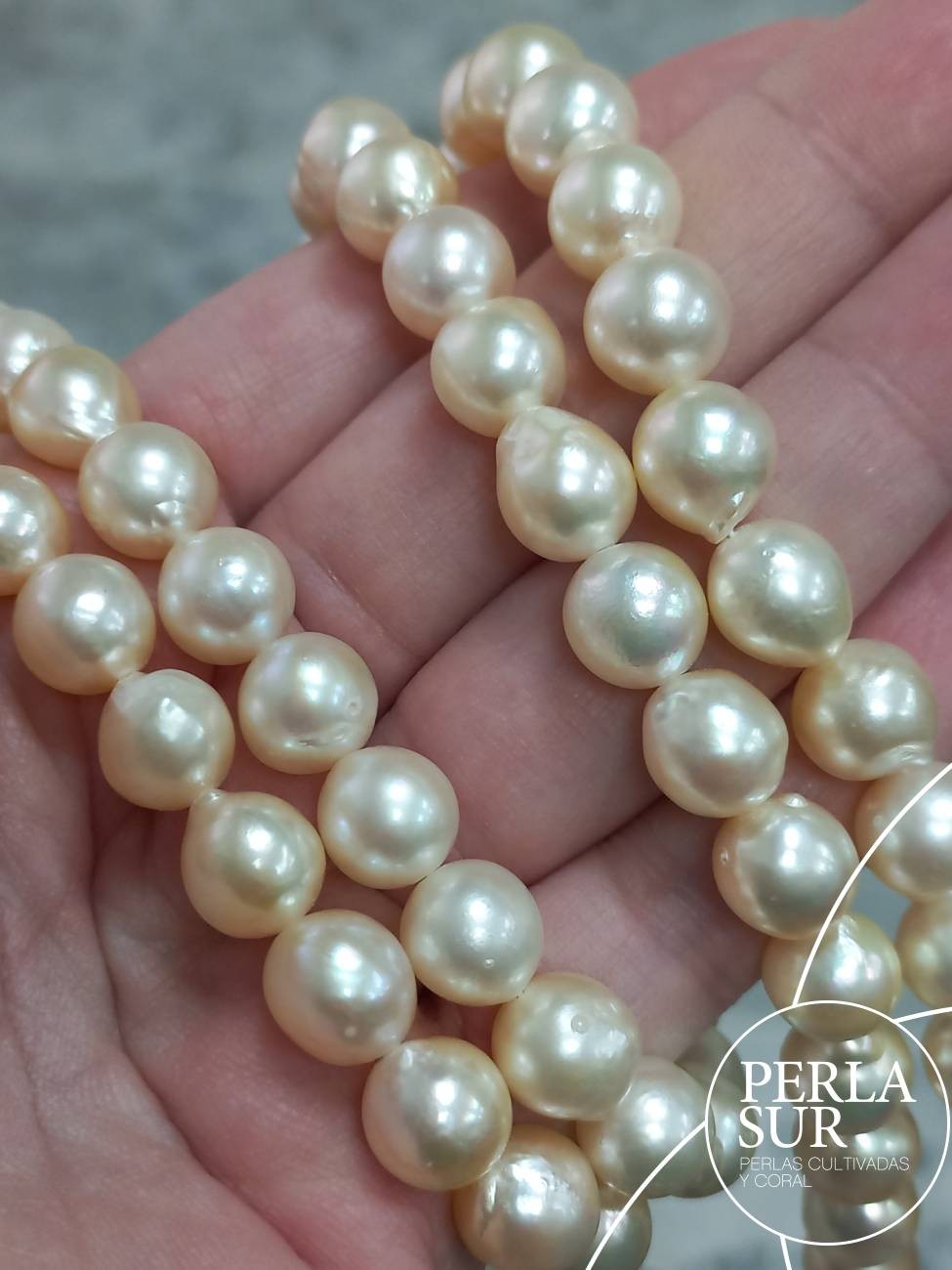 Hilo perla AKOYA 9-9'5mm Barroca Golden
