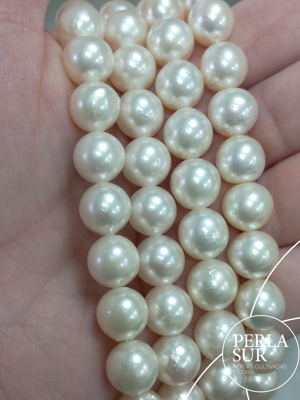 Hilo perla AKOYA 9-9'5mm Semibarroca