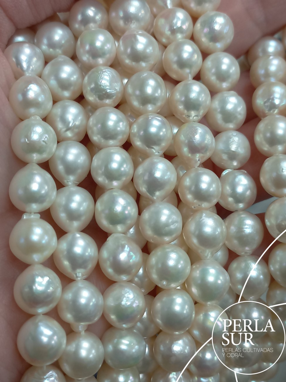Hilo perla AKOYA 9-9'5mm Barroca Blanca