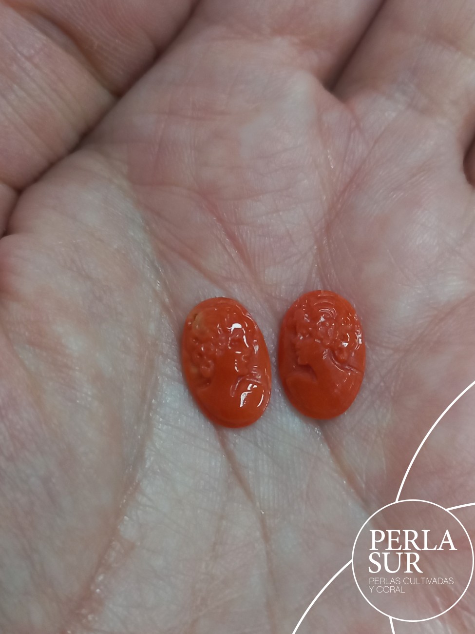 Par camafeo 13x8'5mm Oval Coral Mediterráneo