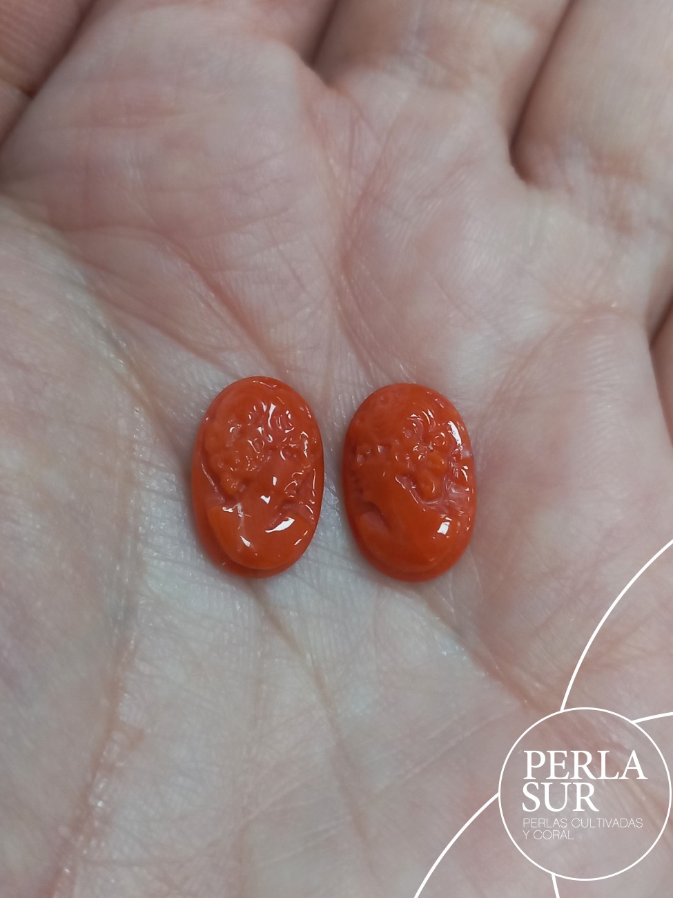 Par camafeo 14x9mm Oval Coral Mediterráneo