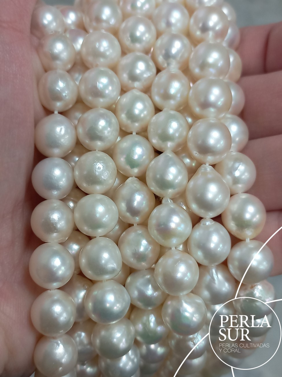 Hilo perla AKOYA 9'5-10mm Barroca Blanca