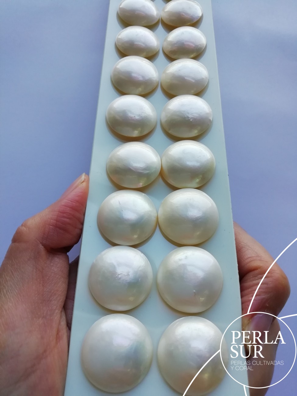 Mabe Especial 22mm PLANA