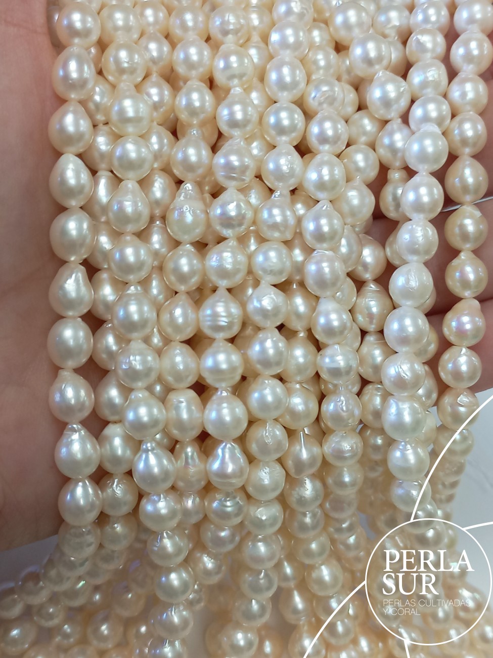 Hilo perla AKOYA 6'5-7mm barroco